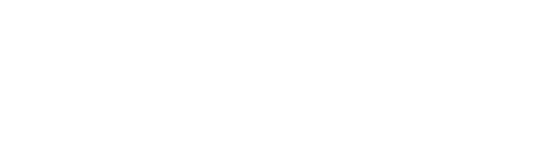 UNC-Chapel Hill wordmark.